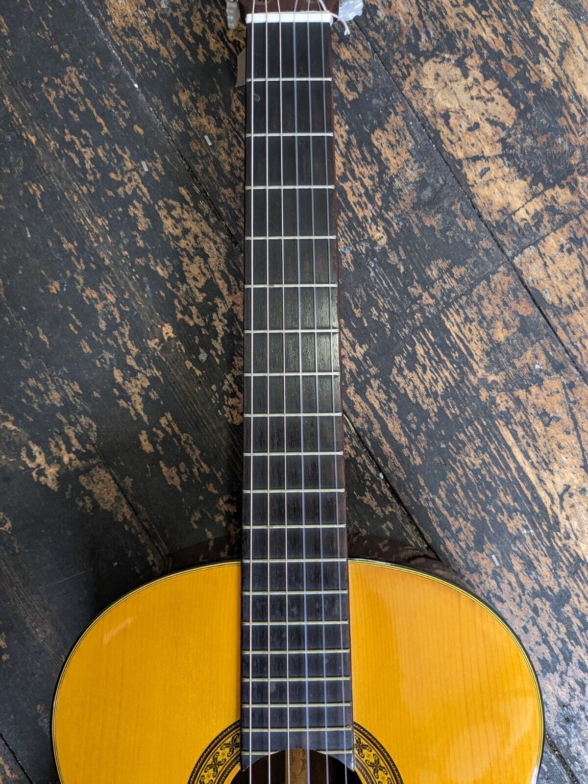 Goya Guitars G-130 Made for C.E MARTIN & CO - Image 8